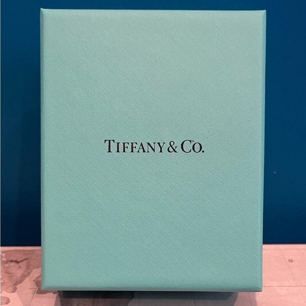 Tiffany & Co. ring pouch